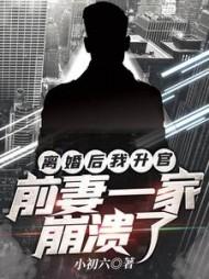 主角高博苏嫣然全章节阅读