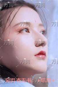 剜月寄无书：全文无删减