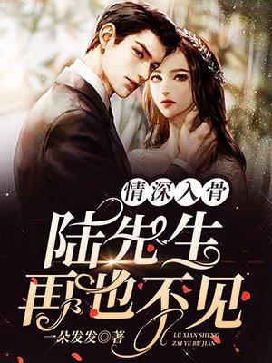 情深入骨:陆先生,再也不见