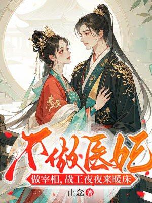 不做医妃做宰相,战王夜夜来暖床