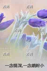 一念情深一念婚烬:后续+完结