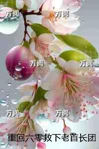 重回六零救下老首长团长老公慌了:后续+全文