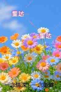 一念情深,一念婚烬:+后续+结局纯净无弹窗版