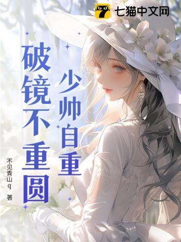 少帅自重,破镜不重圆