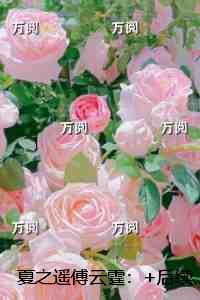 夏之遥傅云霆:章节试读